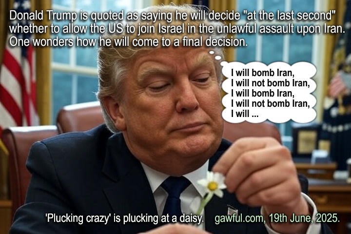 Trump Plucking Daisy